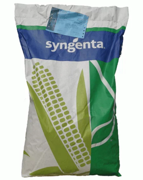 Samanta porumb Syngenta CHORINTOS, FAO 300-340